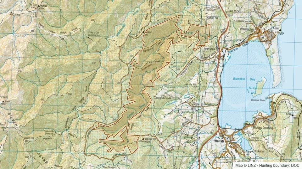 Topographic map of Careys Creek in Otago, New Zealand, with the DOC hunting boundary outlined.