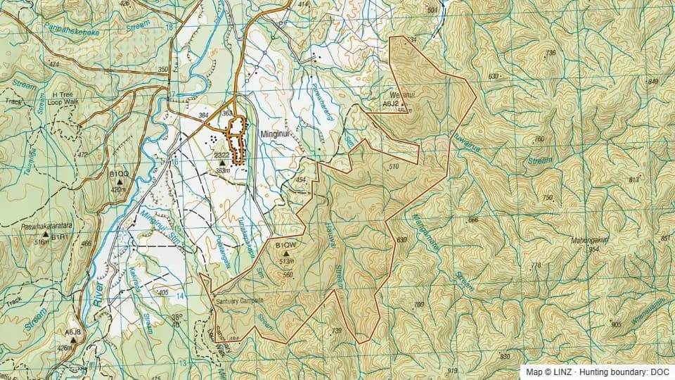 Topographic map of Conservation Area - Minginui in Bay of Plenty, New Zealand, with the DOC hunting boundary outlined.