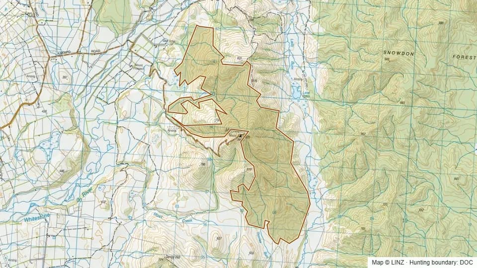 Topographic map of Conservation Area - Mount Prospect in Southland, New Zealand, with the DOC hunting boundary outlined.