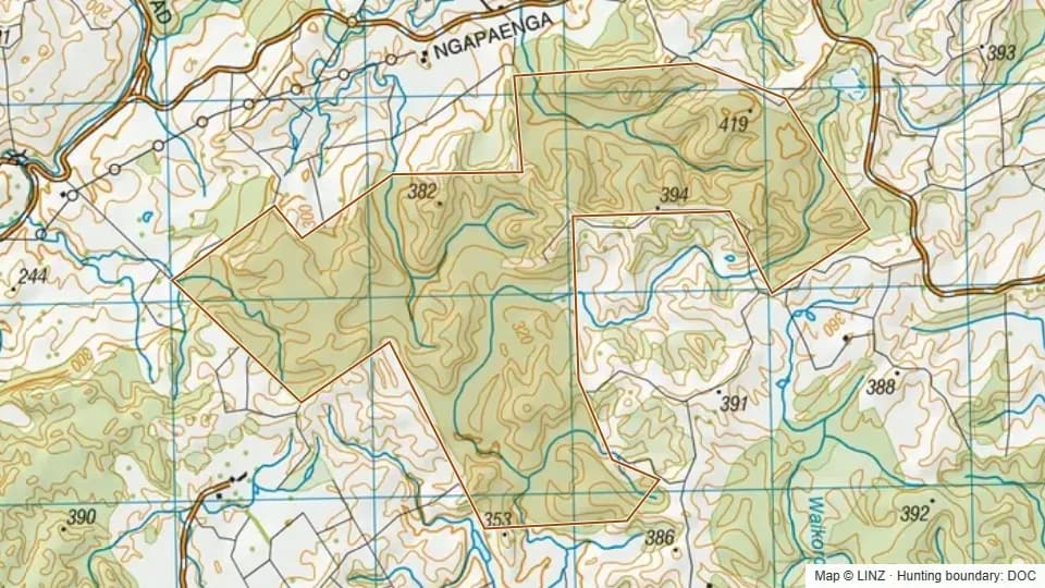 Topographic map of Conservation Area - Ngapaenga in Waikato, New Zealand, with the DOC hunting boundary outlined.