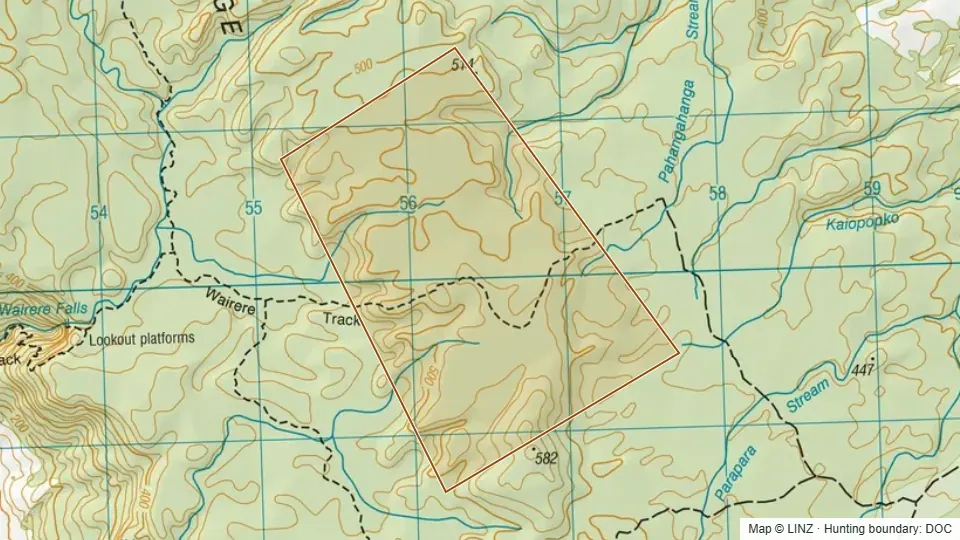 Topographic map of Conservation Area - Pahangahanga Stream in Bay of Plenty, New Zealand, with the DOC hunting boundary outlined.