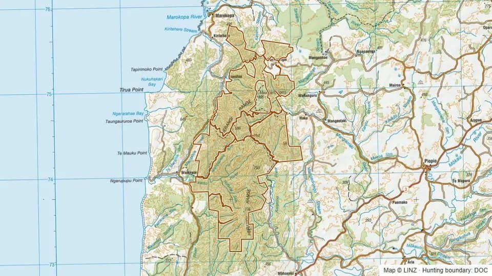 Topographic map of Conservation Area - Whareorino in Waikato, New Zealand, with the DOC hunting boundary outlined.