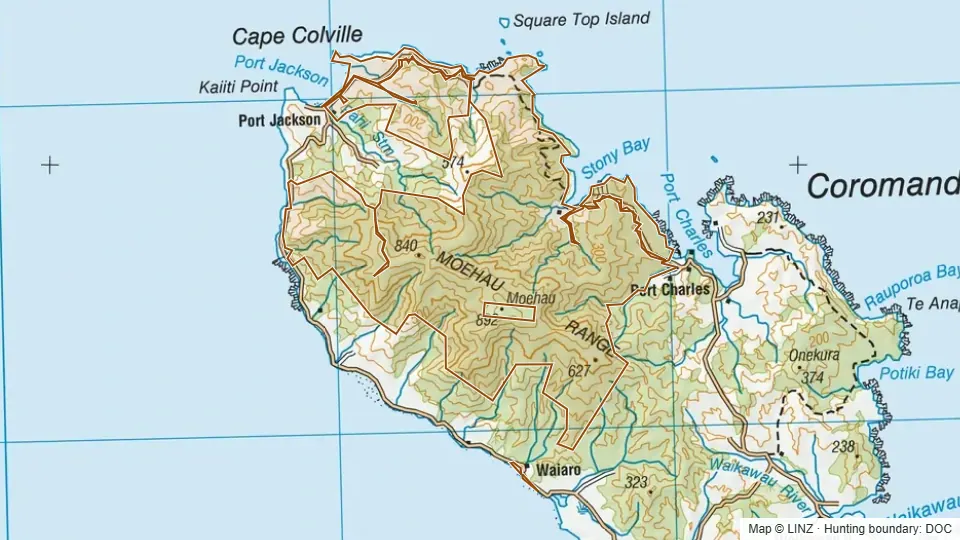 Topographic map of Coromandel Forest Park- Moehau in Waikato, New Zealand, with the DOC hunting boundary outlined.