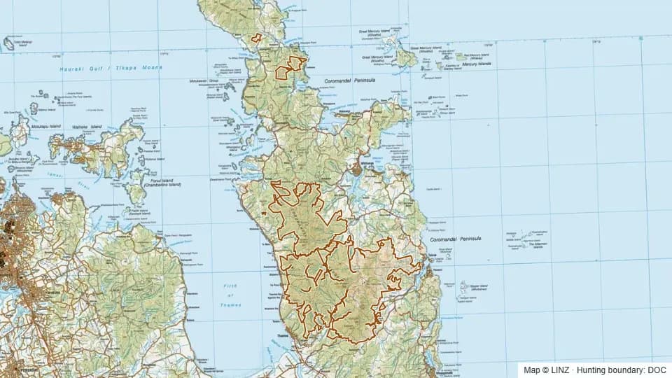 Topographic map of Coromandel Forest Park in Waikato, New Zealand, with the DOC hunting boundary outlined.