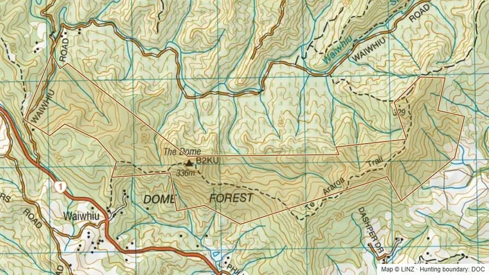 Topographic map of Dome Forest Conservation Area in Auckland, New Zealand, with the DOC hunting boundary outlined.