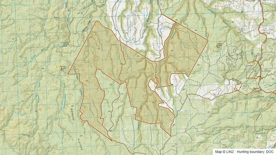 Topographic map of Gammons Block Conservation Area in Bay of Plenty, New Zealand, with the DOC hunting boundary outlined.
