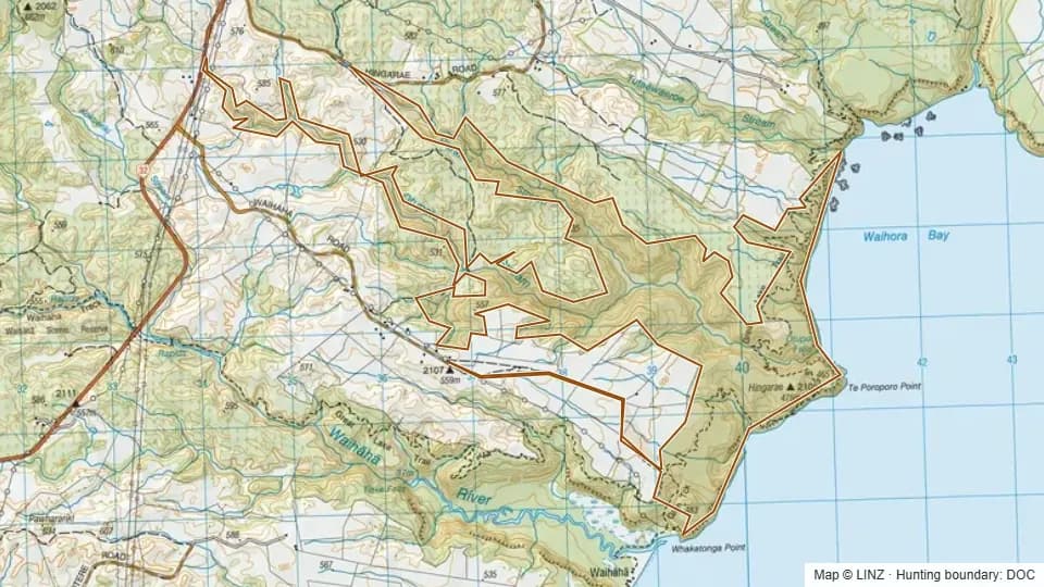 Topographic map of Hingarae Scenic Reserve in Waikato, New Zealand, with the DOC hunting boundary outlined.