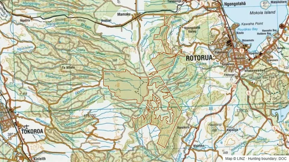Topographic map of Horohoro Forest in Waikato, New Zealand, with the DOC hunting boundary outlined.