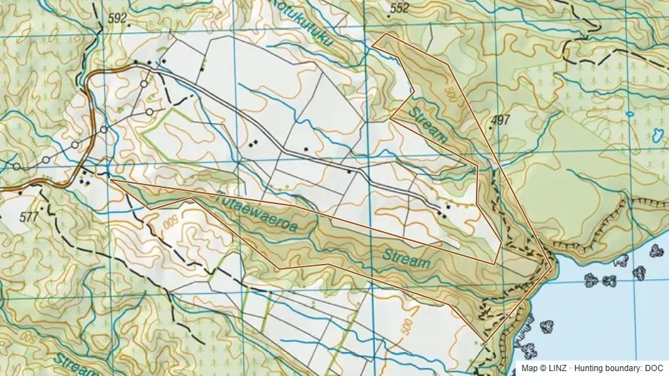 Topographic map of Kotukutuku Stream Scenic Reserve in Waikato, New Zealand, with the DOC hunting boundary outlined.