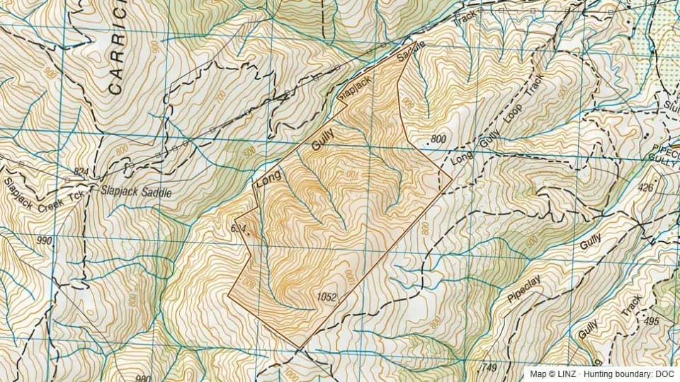Topographic map of Long Gully in Otago, New Zealand, with the DOC hunting boundary outlined.