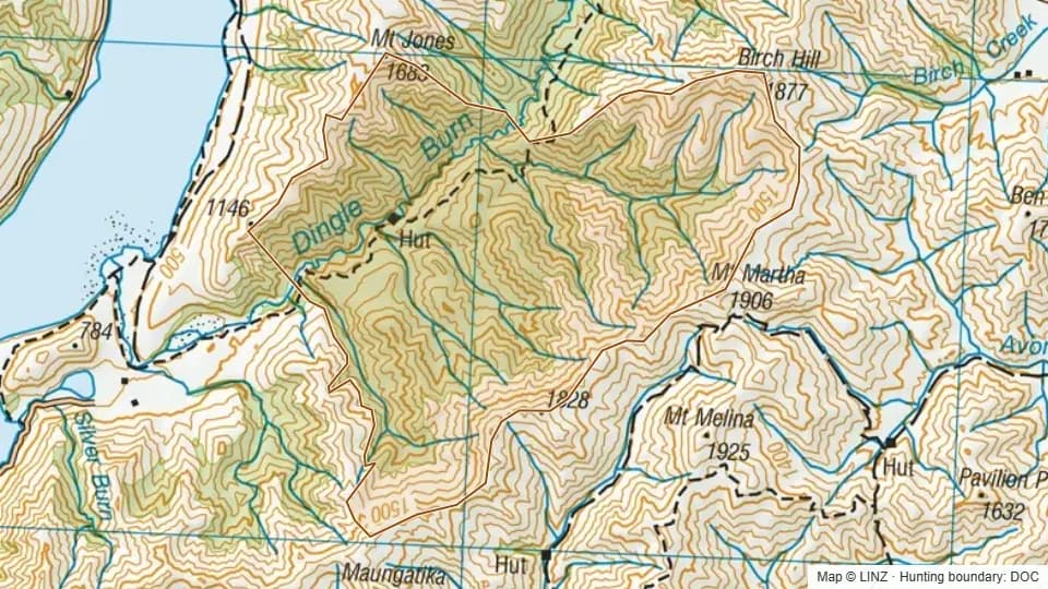 Topographic map of Lower Dingle in Otago, New Zealand, with the DOC hunting boundary outlined.