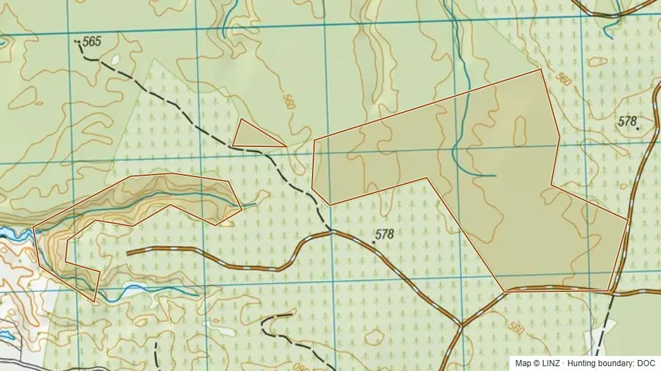 Topographic map of Mangapapa Conservation Area in Waikato, New Zealand, with the DOC hunting boundary outlined.