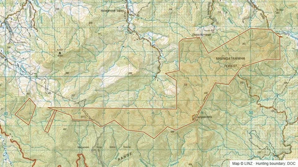 Topographic map of Maungataniwha Forest (Pt Northland Cons. Park) in Northland, New Zealand, with the DOC hunting boundary outlined.