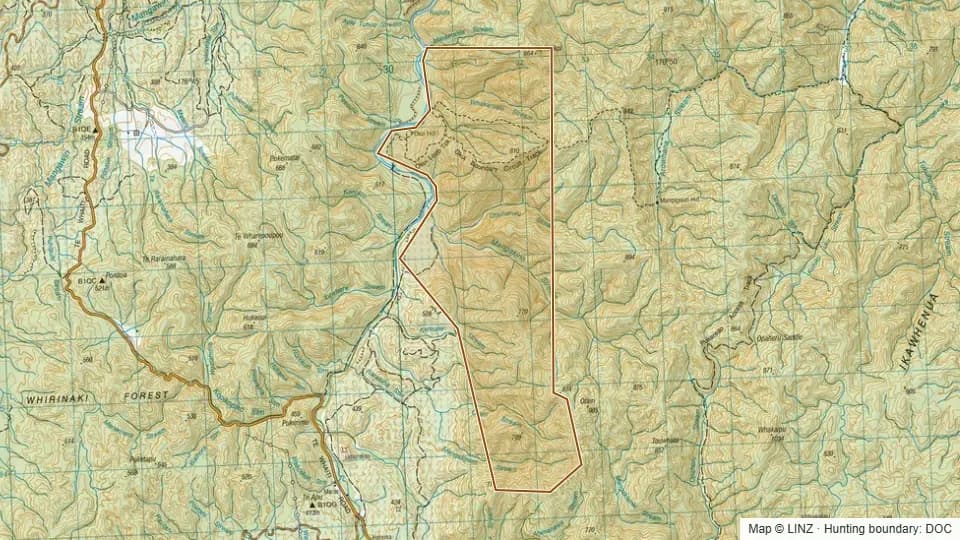 Topographic map of Okui Forest Conservation Area in Bay of Plenty, New Zealand, with the DOC hunting boundary outlined.