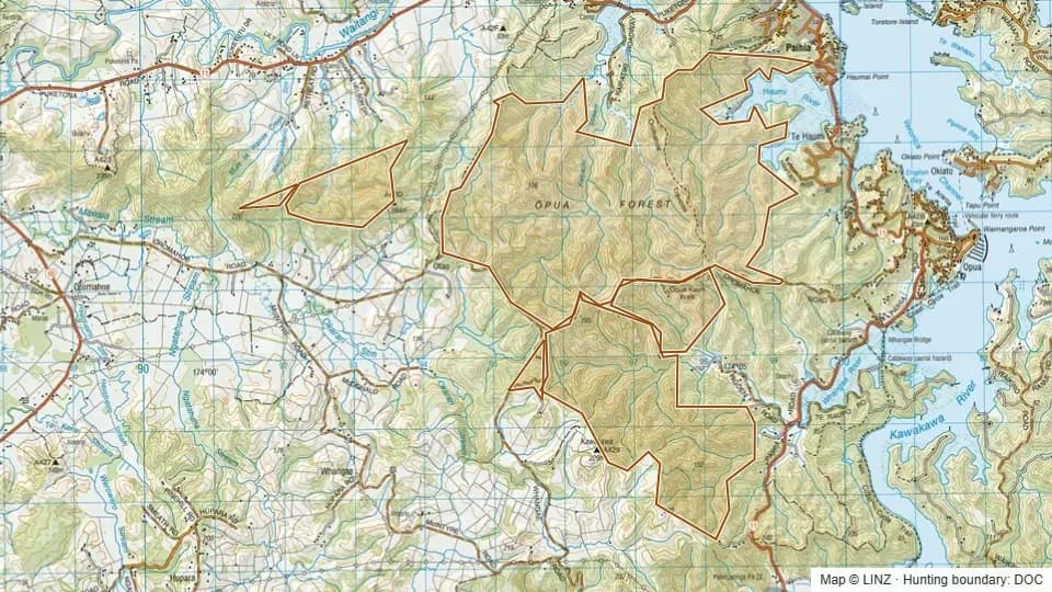 Topographic map of Opua Forest in Northland, New Zealand, with the DOC hunting boundary outlined.