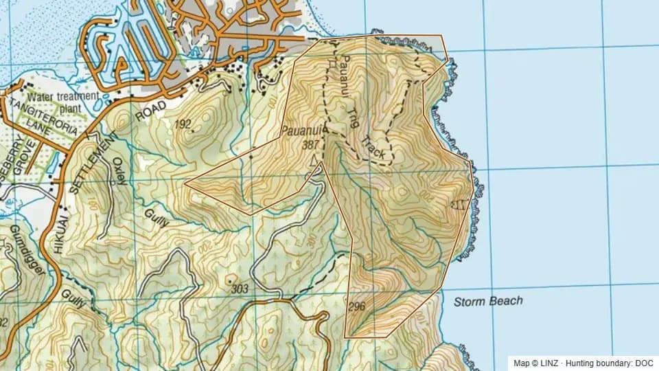 Topographic map of Pauanui Conservation Area in Waikato, New Zealand, with the DOC hunting boundary outlined.