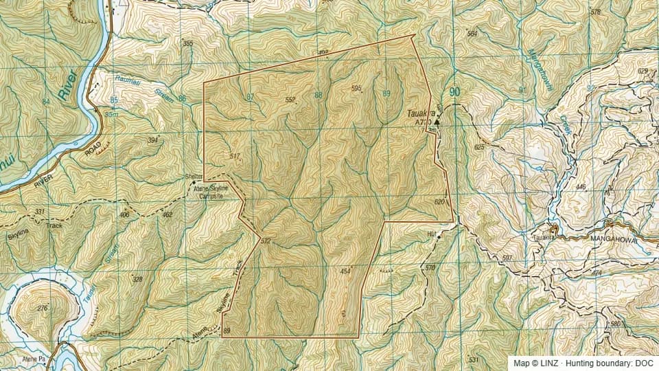 Topographic map of Pitangi Scenic Reserve in Manawatu-Wanganui, New Zealand, with the DOC hunting boundary outlined.
