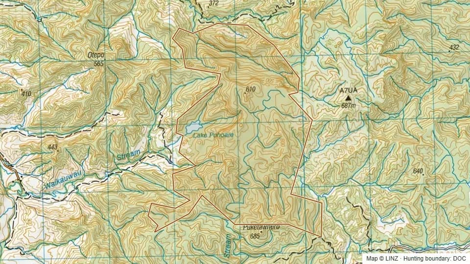Topographic map of Rotokahu Scenic Reserve in Manawatu-Wanganui, New Zealand, with the DOC hunting boundary outlined.