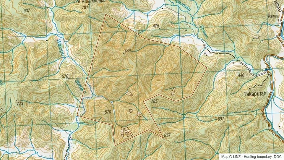 Topographic map of Takaputahi/whitikau Conservation Area in Bay of Plenty, New Zealand, with the DOC hunting boundary outlined.