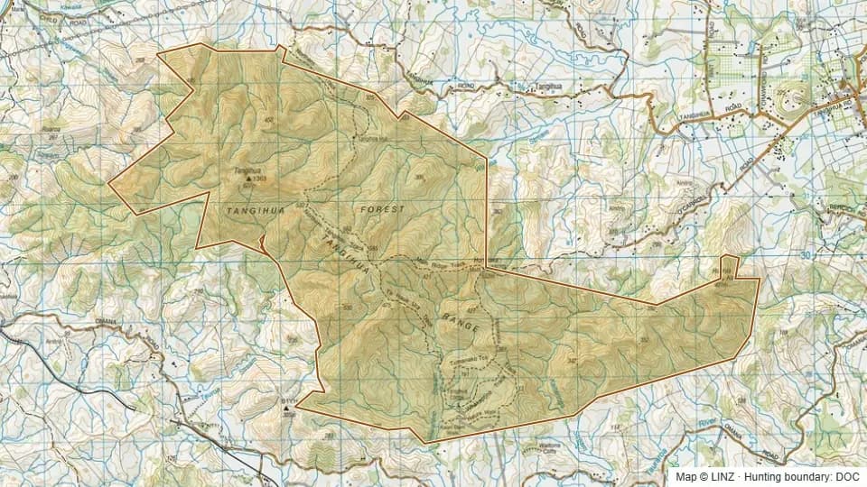 Topographic map of Tangihua Forest in Northland, New Zealand, with the DOC hunting boundary outlined.
