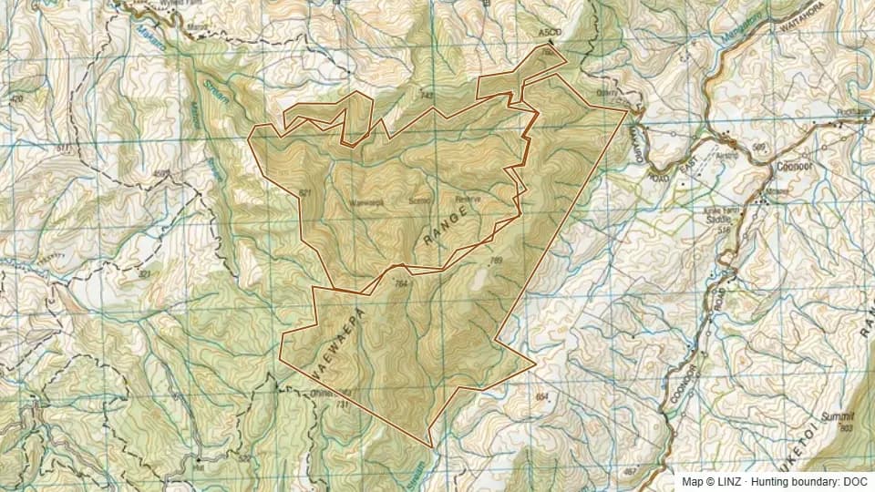 Topographic map of Waewaepa Scenic Reserve in Manawatu-Wanganui, New Zealand, with the DOC hunting boundary outlined.