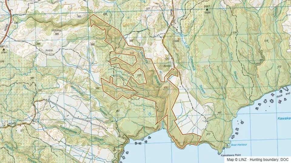 Topographic map of Waihora Stream Scenic Reserve in Waikato, New Zealand, with the DOC hunting boundary outlined.
