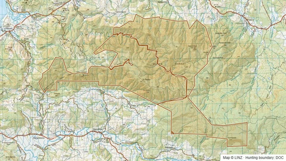 Topographic map of Waima Forest in Northland, New Zealand, with the DOC hunting boundary outlined.