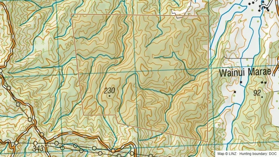 Topographic map of Waiotane Scenic Reserve in Bay of Plenty, New Zealand, with the DOC hunting boundary outlined.