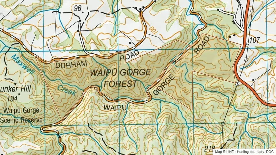 Topographic map of Waipu Gorge Forest in Northland, New Zealand, with the DOC hunting boundary outlined.