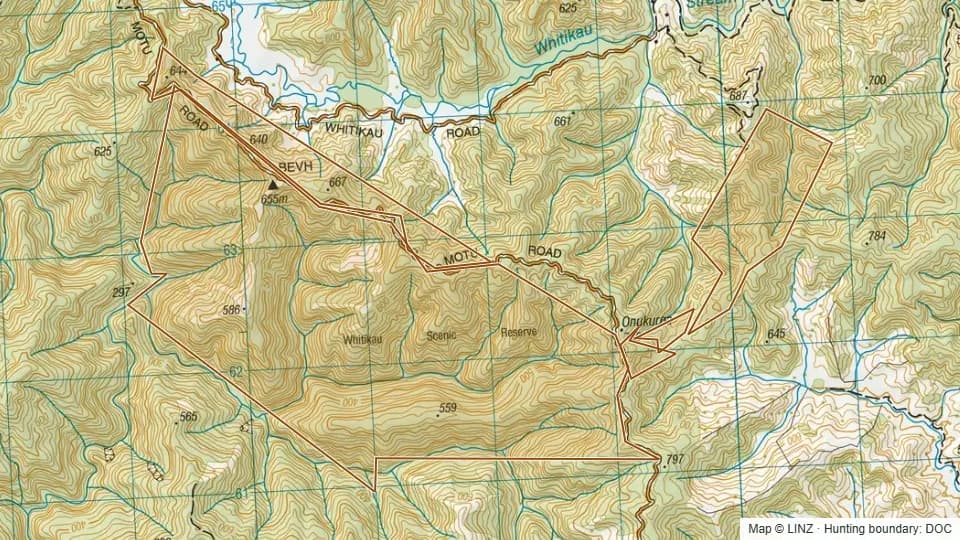 Topographic map of Whitikau Scenic Reserve in Bay of Plenty, New Zealand, with the DOC hunting boundary outlined.